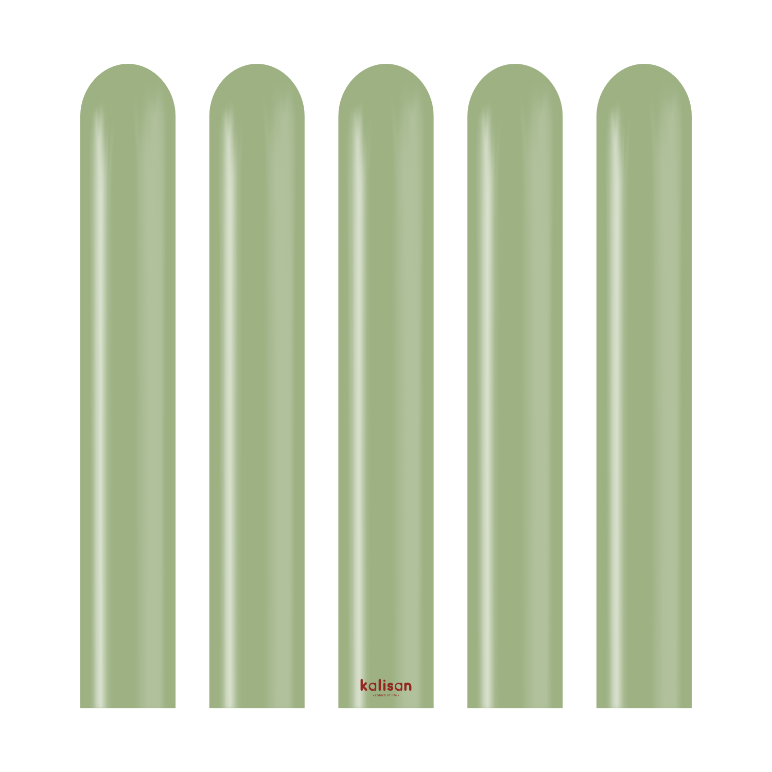 Kalisan Retro Eucalyptus Modelling Balloons
