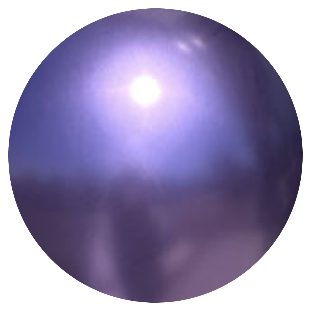 Kalisan Mirror Chrome Violet Modelling Balloons