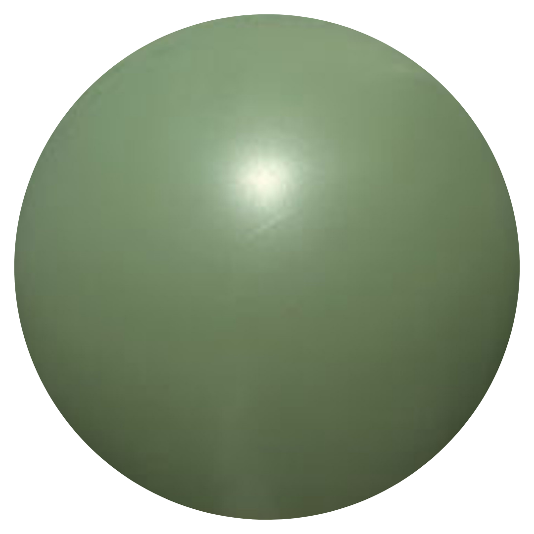 Kalisan Retro Eucalyptus Modelling Balloons