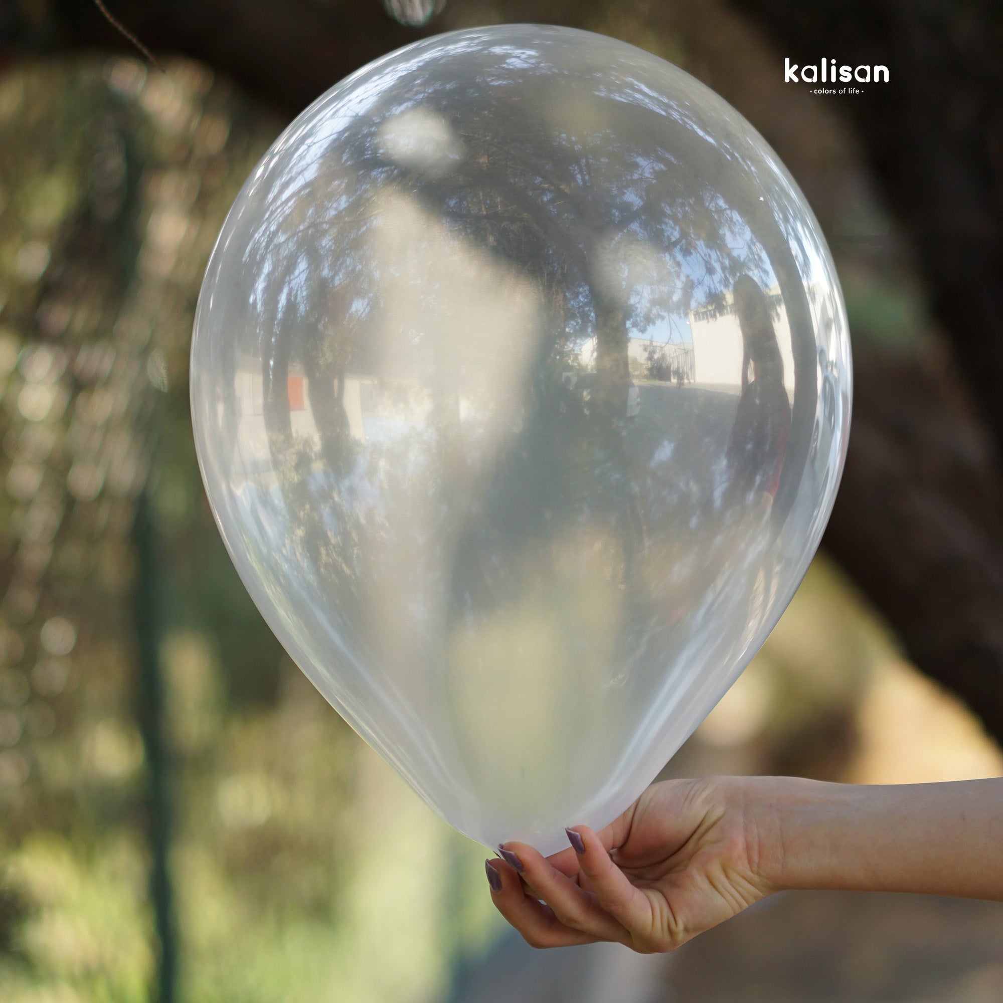 Kalisan Transparent Clear