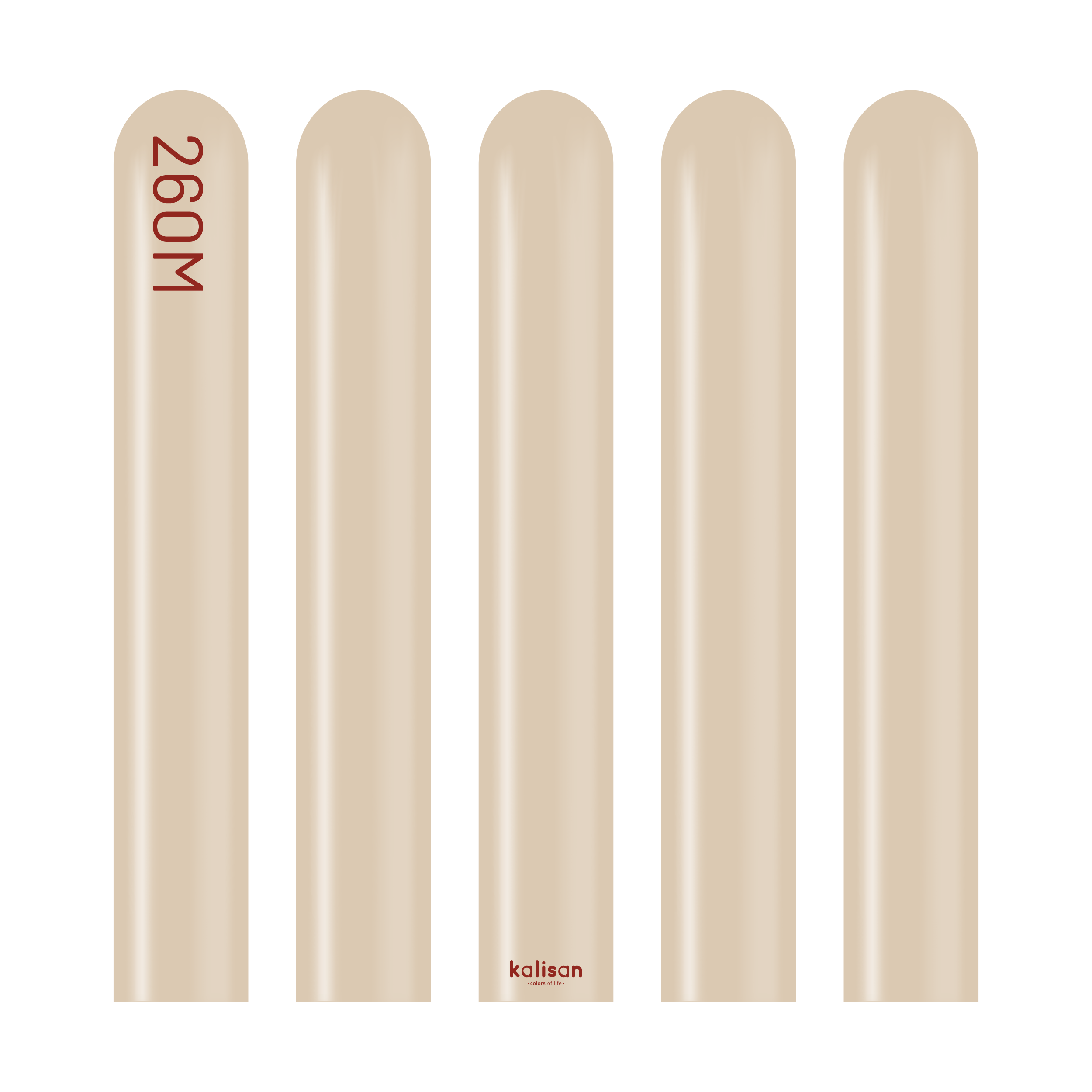 Kalisan Standard Hazelnut 260 Nozzle Up (50)