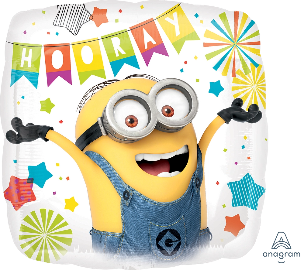 Anagram Despicable Me Party Foil