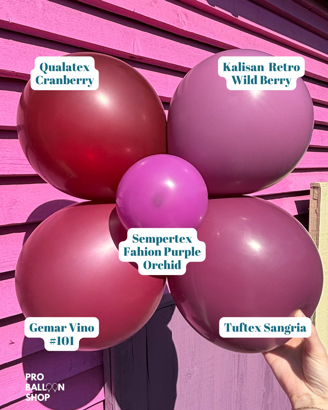 Berry_Colour_Combo