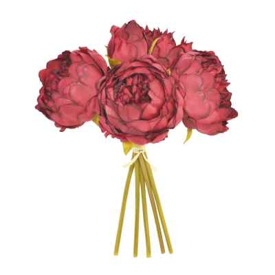 Bordeaux Peonies