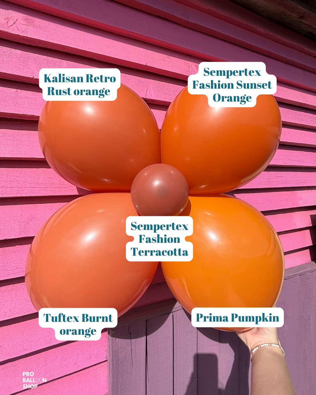 Burnt_Orange_Colour_Combo