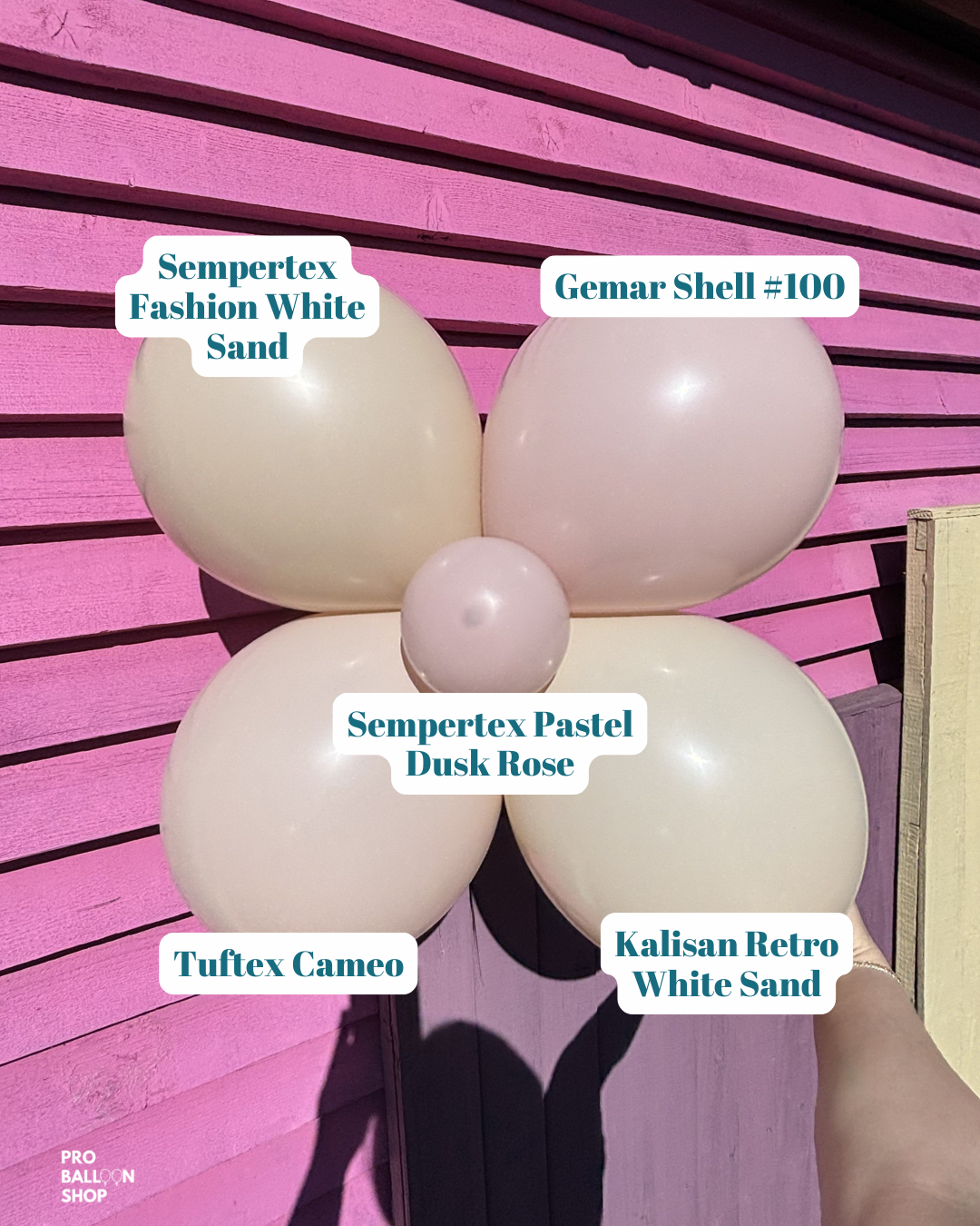 Cameo_Colour_Combo