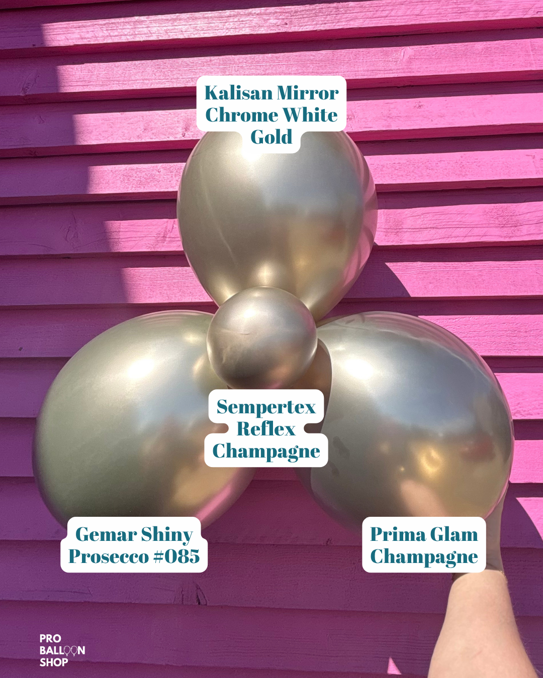 Champagne_Colour_Combo