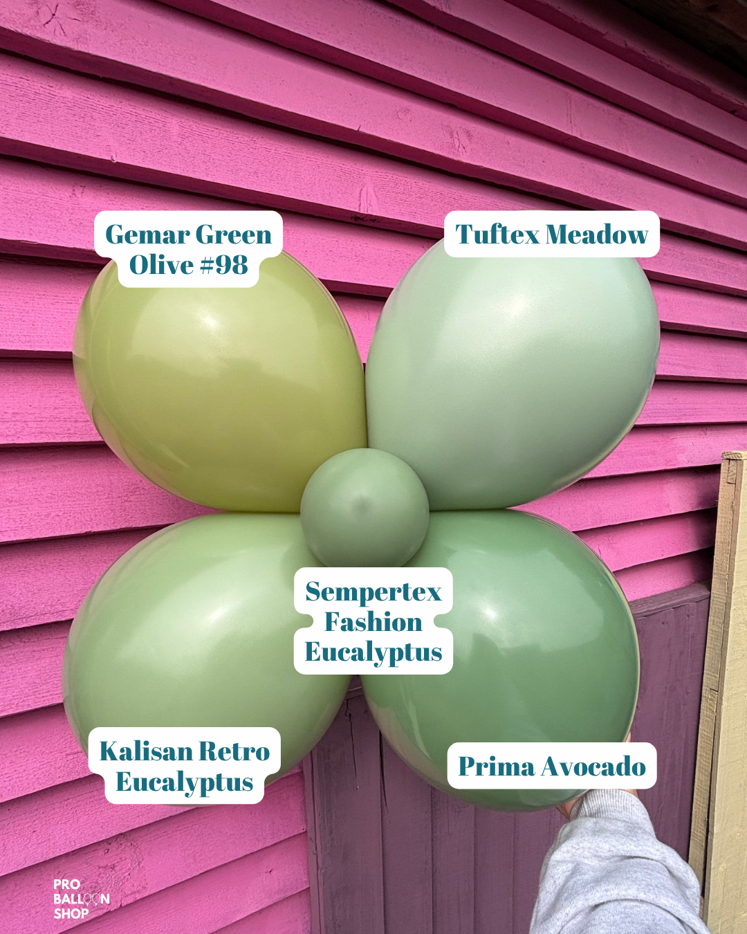 Eucalyptus_Colour_Combo