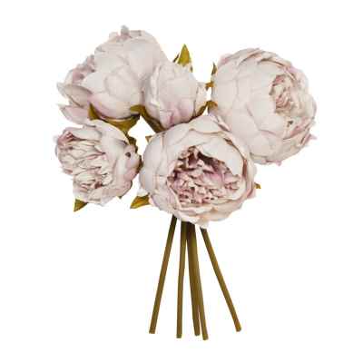 Grey Peonies