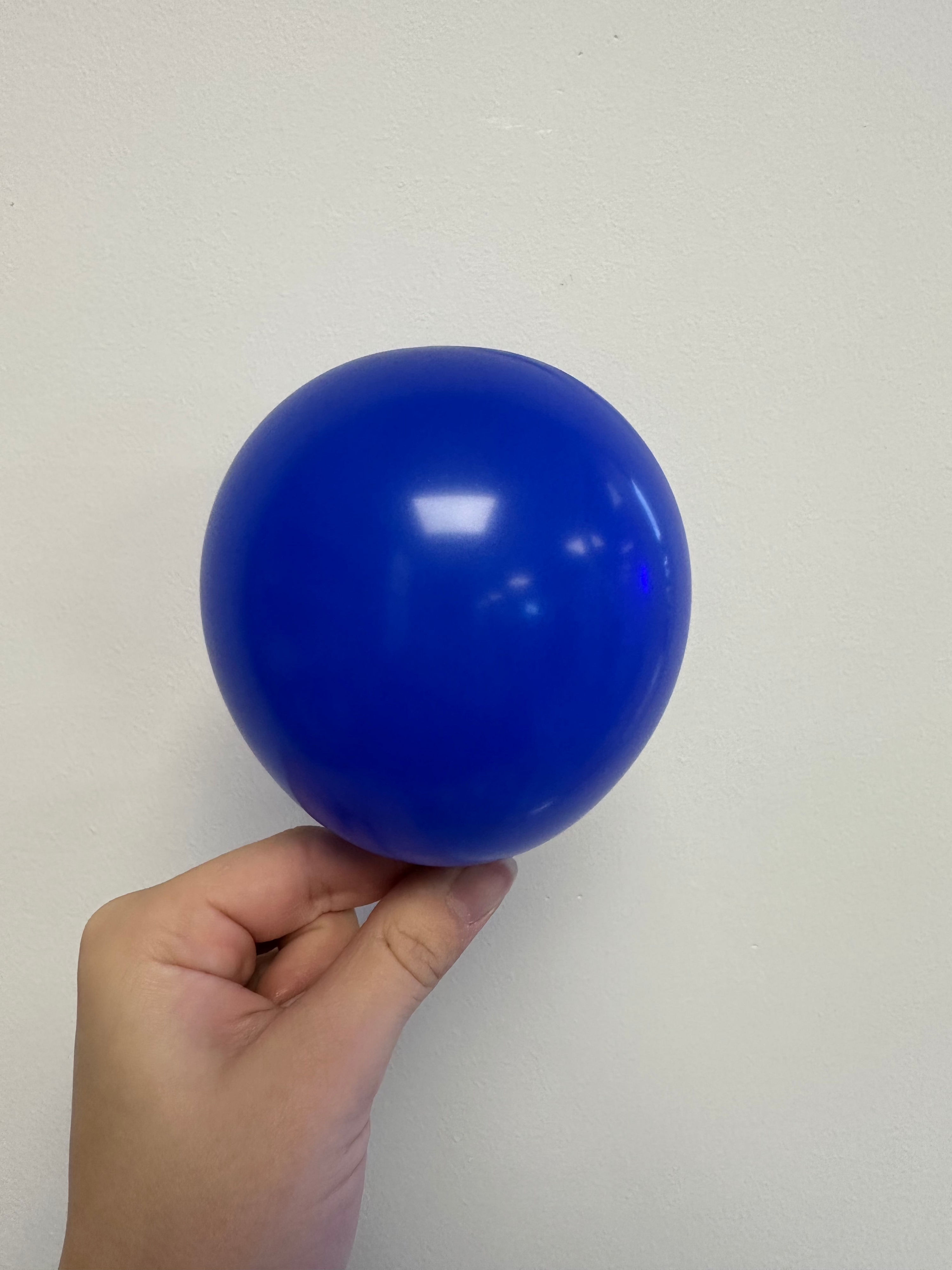 Sempertex Azul Rey Sempertex Fashion Royal Blue – Pro Balloon Shop