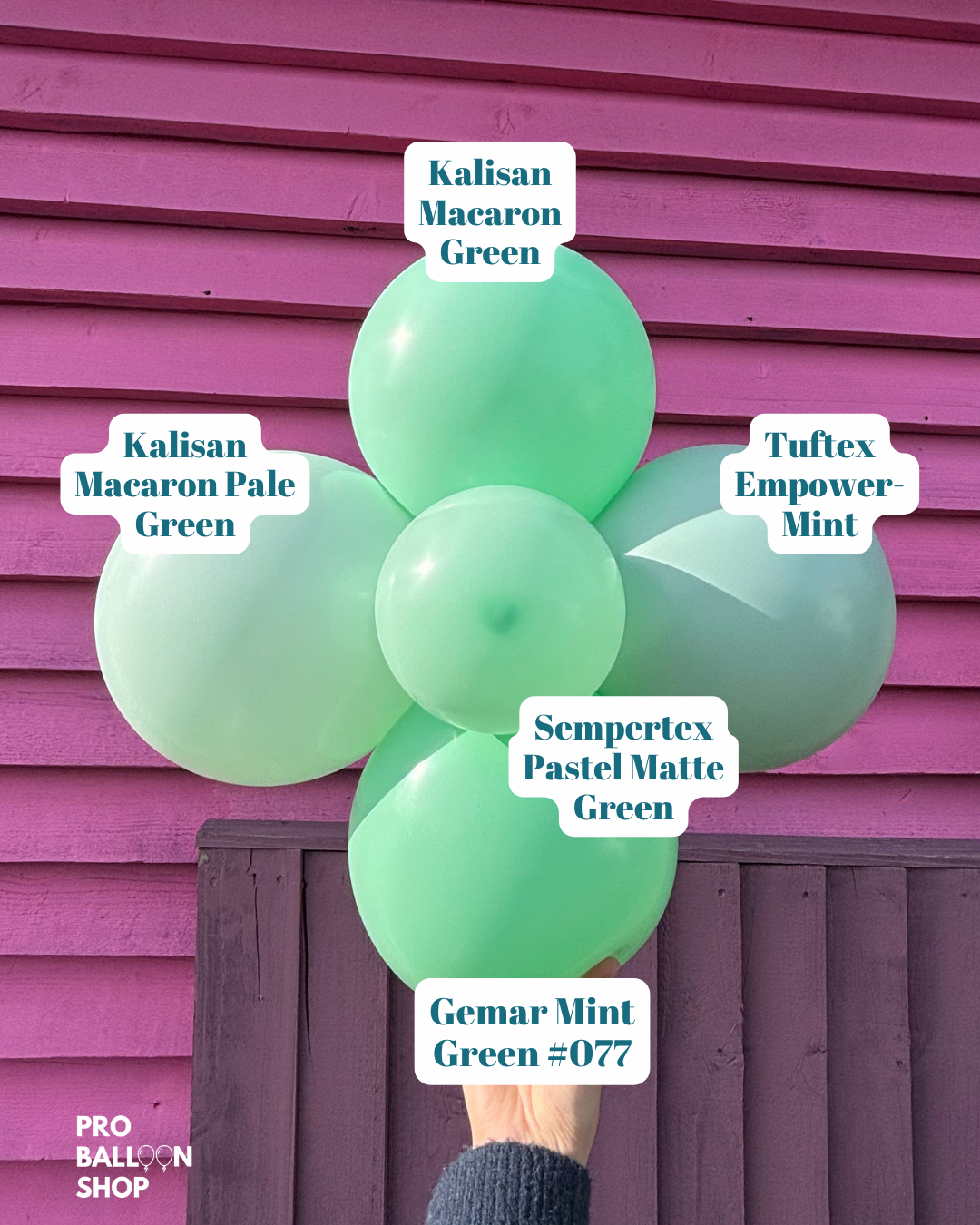 Macaron_Green_Colour_Combo