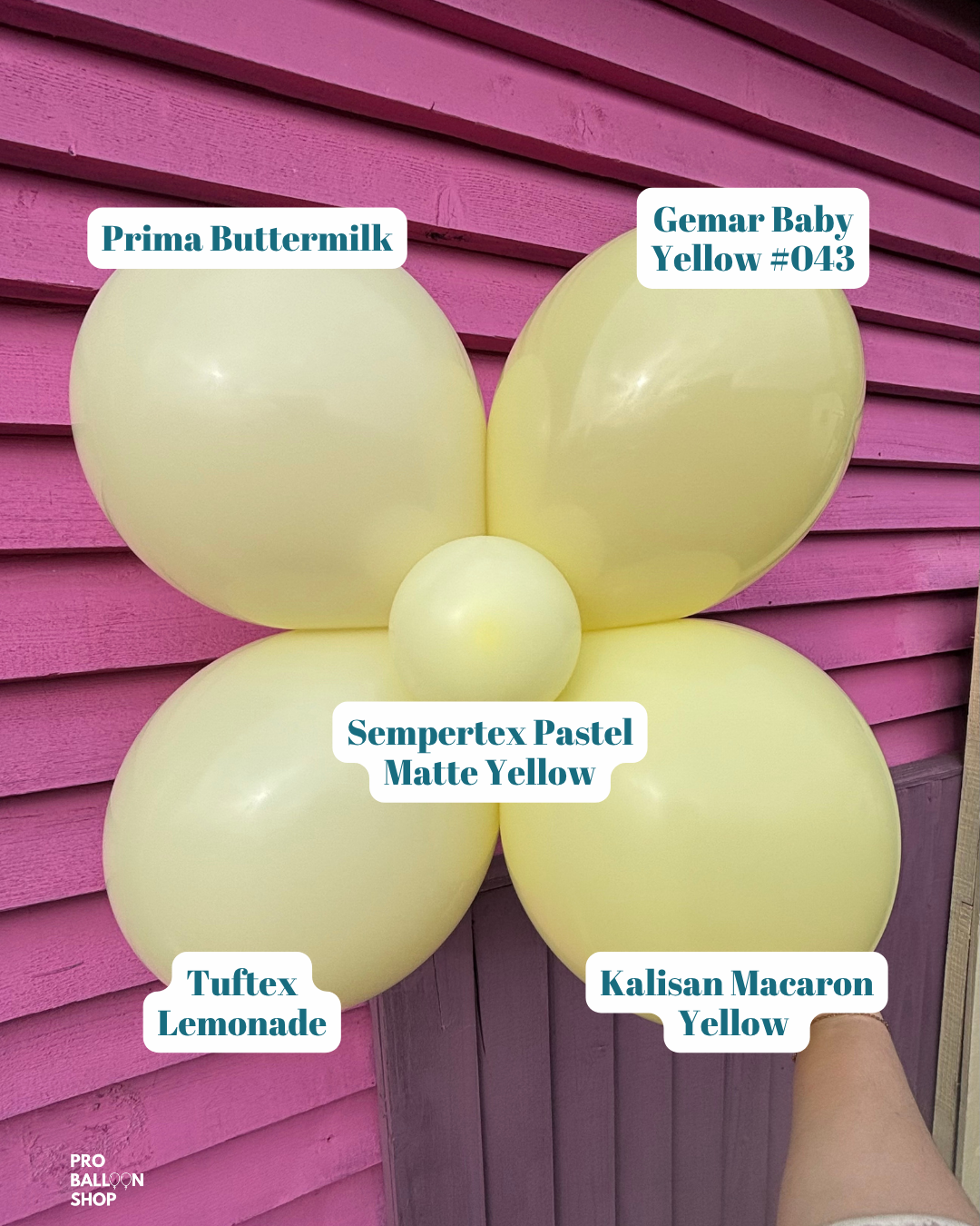 Macaron_Yellow_Colour_Combo