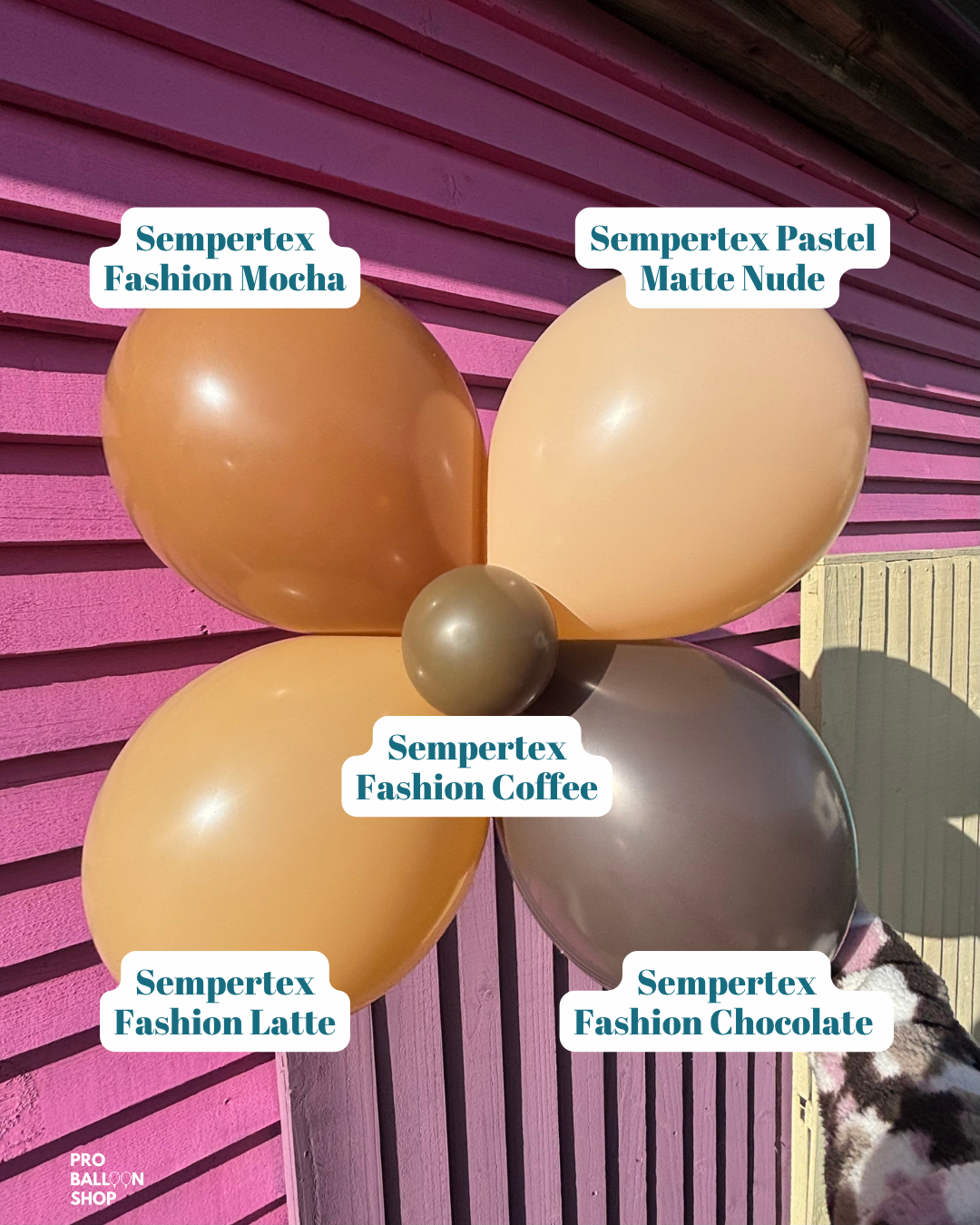 Mocha_Colour_Combo