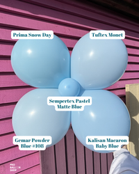 Powder_Blue_Colour_Combo