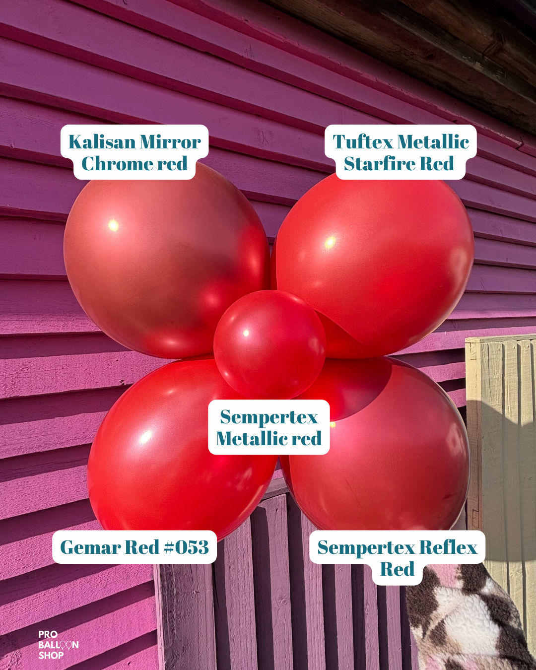 Shiny Red Colour Combo