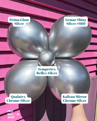 Shiny Silver Colour Combo