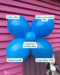 Standard Blue Colour Combo