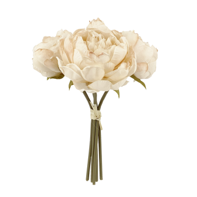 28CM Peaches & Cream Dried Look Peony X 5