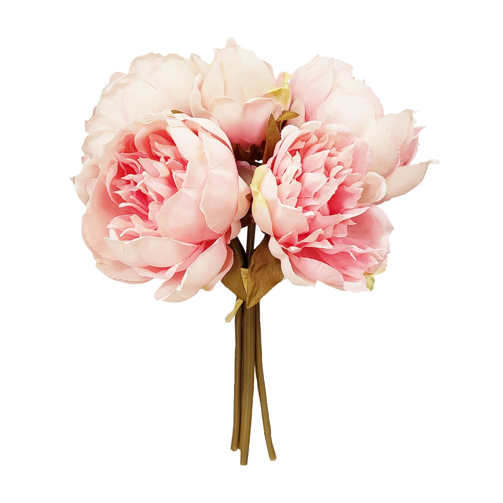 Baby Pink Peonies