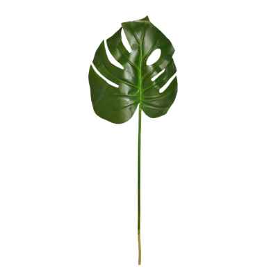 Split Philodendron Leaf Steam