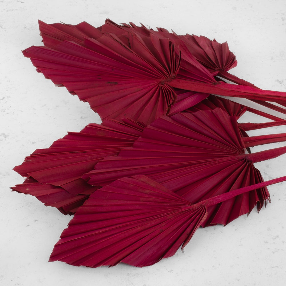Dried Palm Spear, red x 5 stems