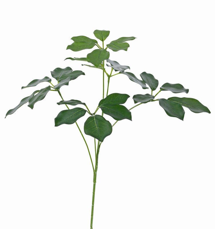 Schefflera Branch, 50cm