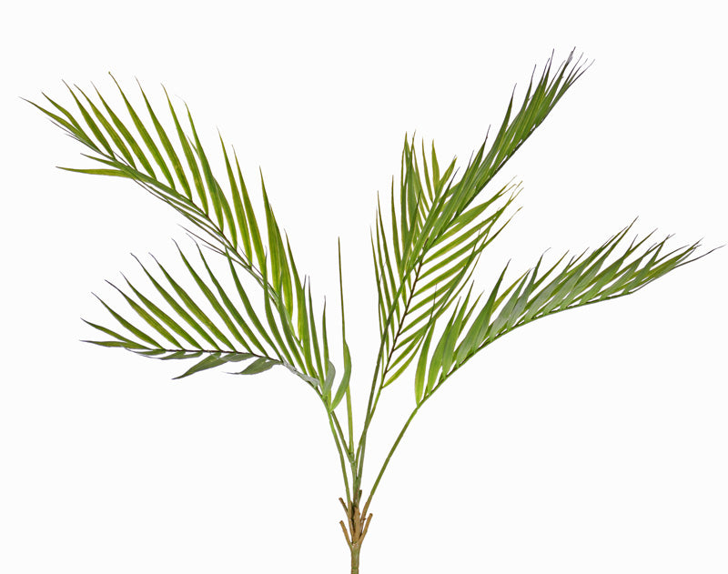 Areca Palm, Real Touch, 76cm