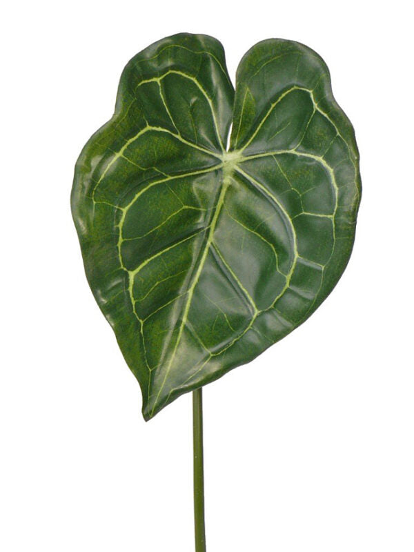 Flamingo Flower Leaf (Anthurium), 67cm