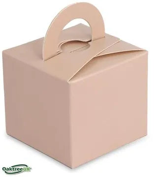 Balloon Weight Boxes - Nude (10)