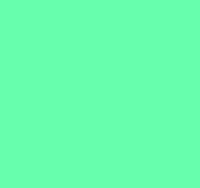 DeTape Mint Vinyl - MATTE